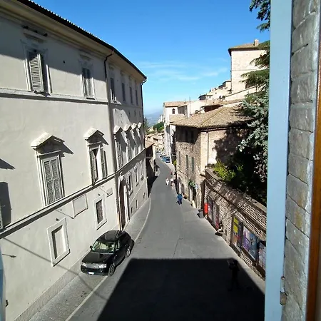 Brizi